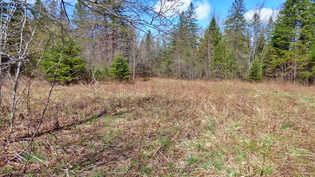 Spar Hawk Road Wheelock VT 05851