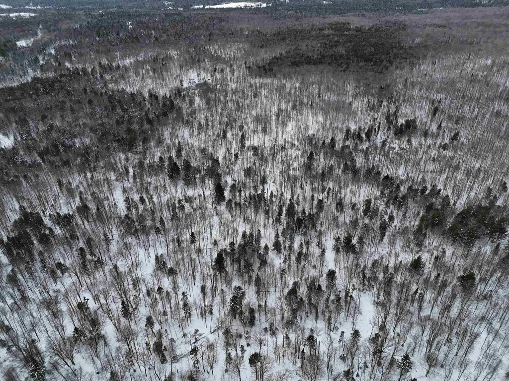 Spar Hawk Road Wheelock VT 05851