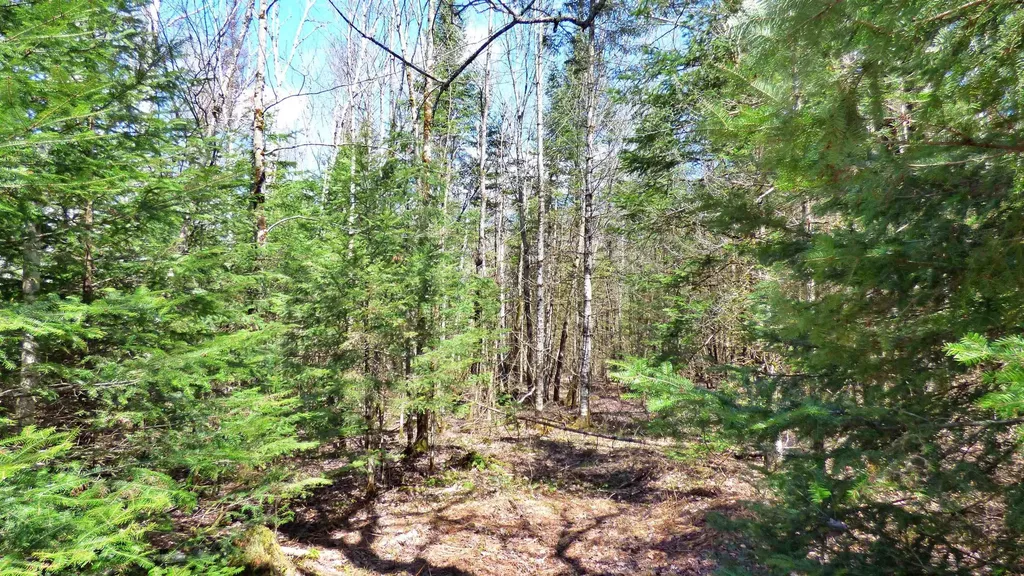 Spar Hawk Road Wheelock VT 05851