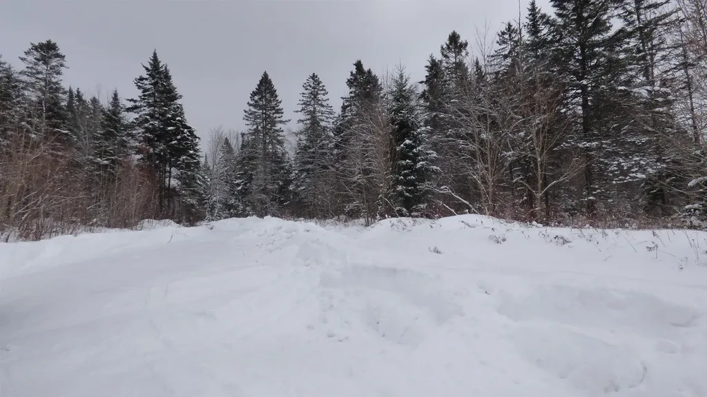 Spar Hawk Road Wheelock VT 05851