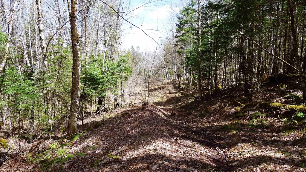 Spar Hawk Road Wheelock VT 05851
