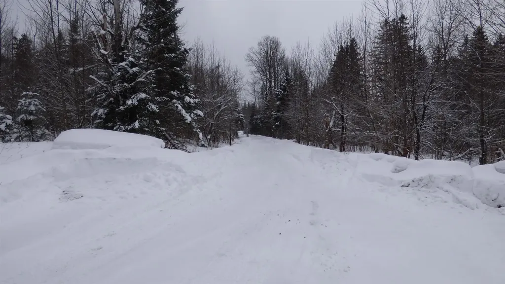 Spar Hawk Road Wheelock VT 05851