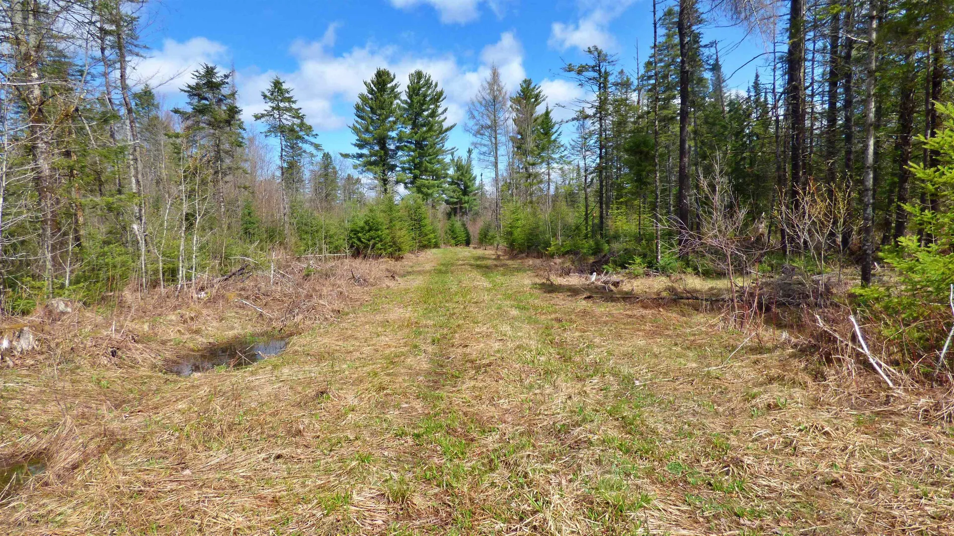 Spar Hawk Road Wheelock VT 05851