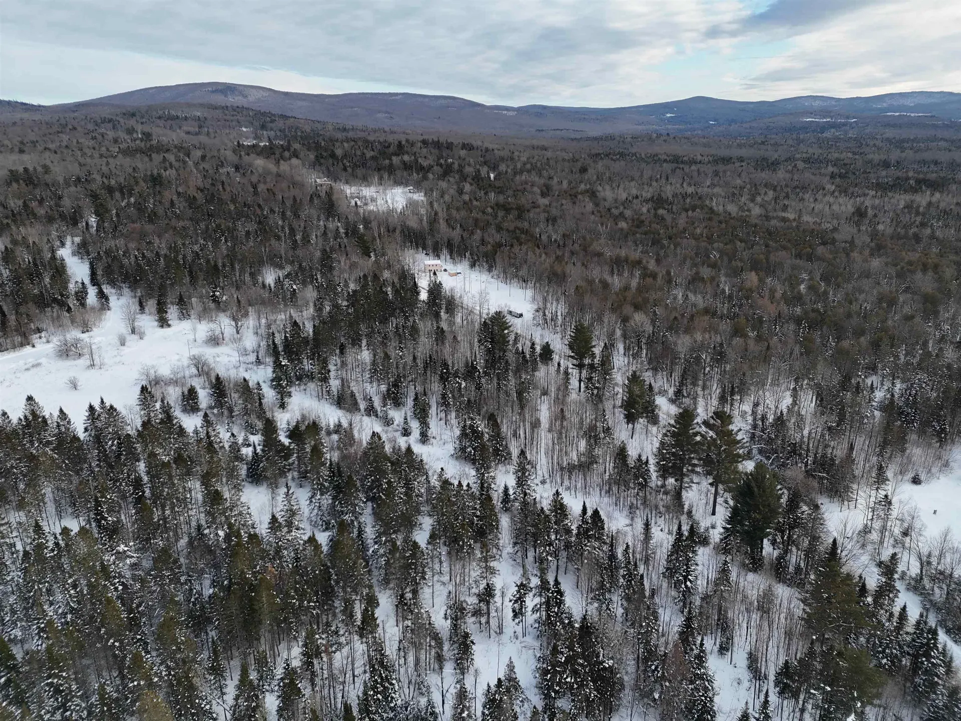 Spar Hawk Road Wheelock VT 05851