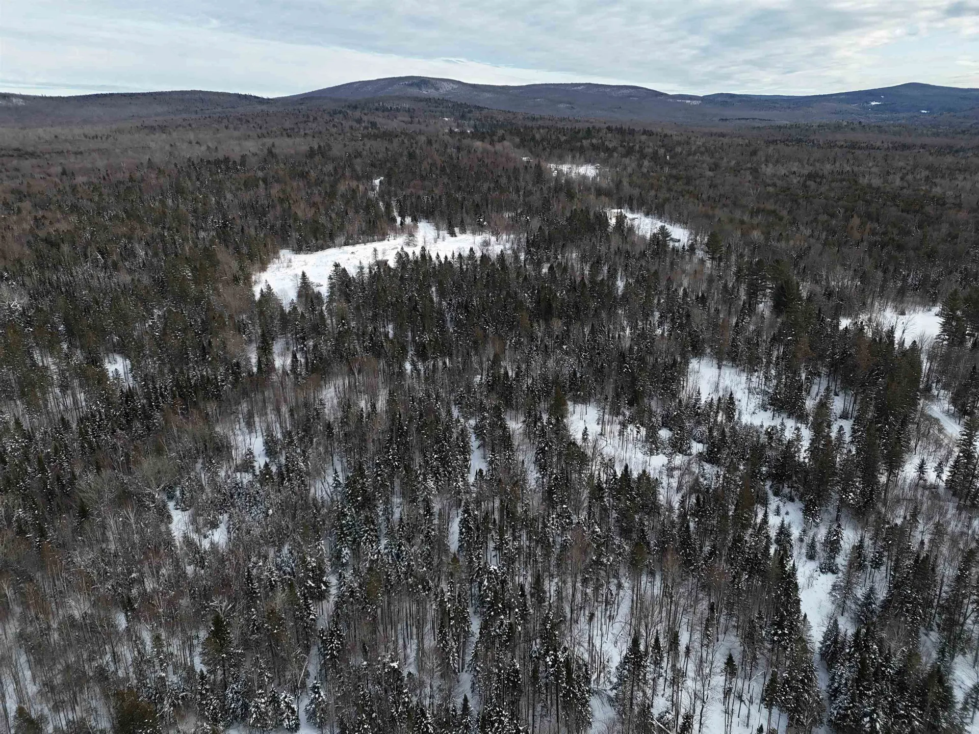 Spar Hawk Road Wheelock VT 05851