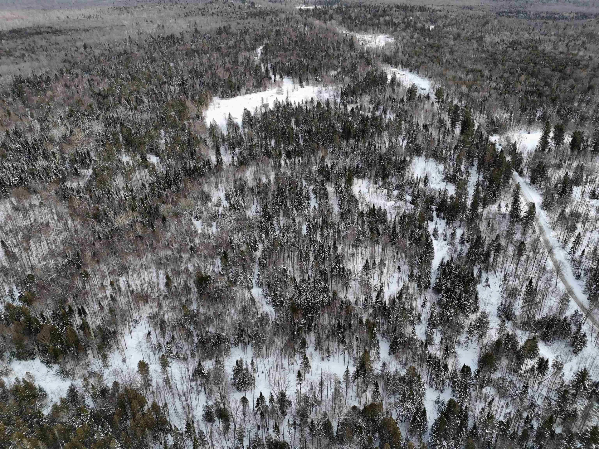 Spar Hawk Road Wheelock VT 05851