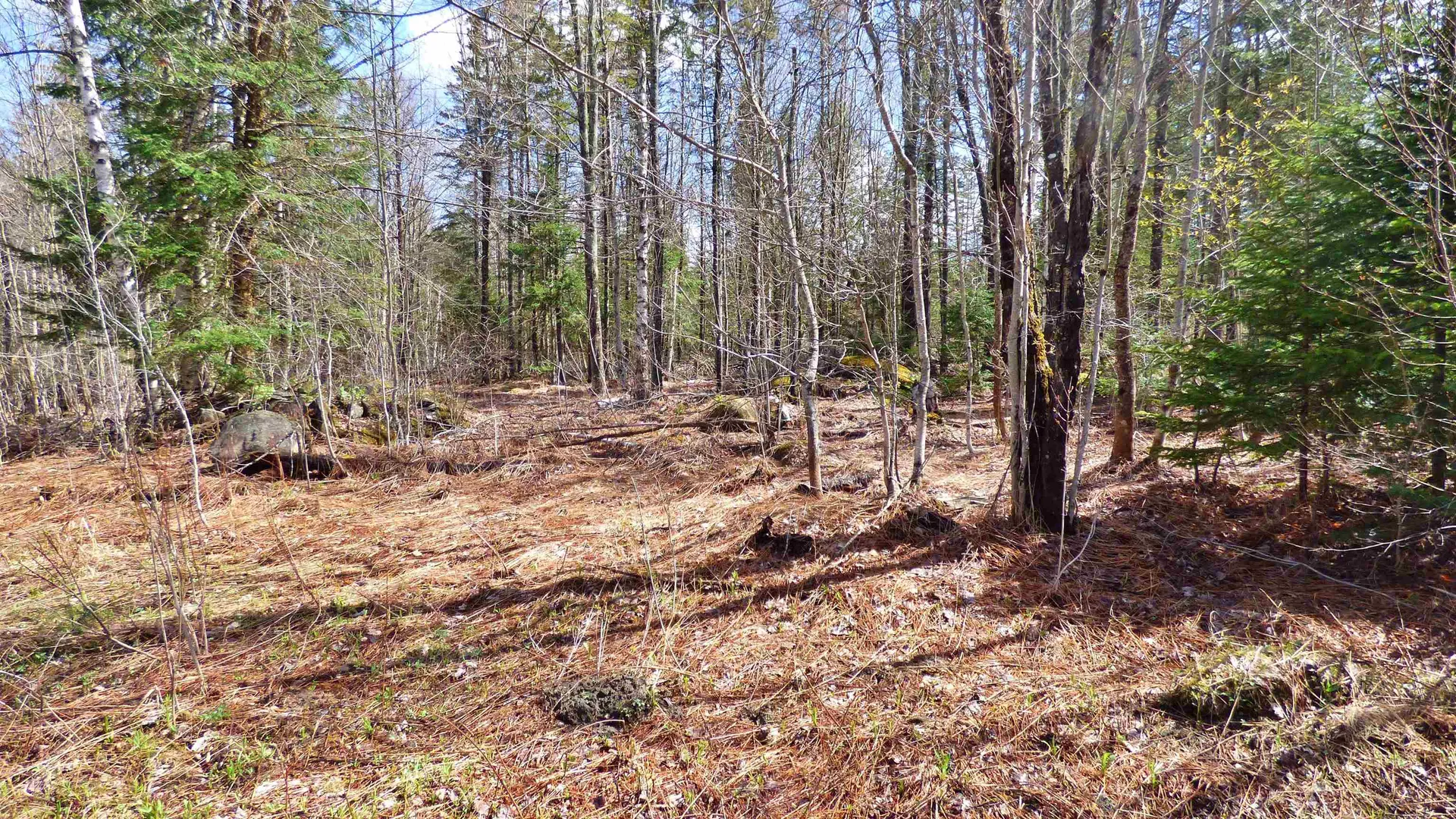 Spar Hawk Road Wheelock VT 05851