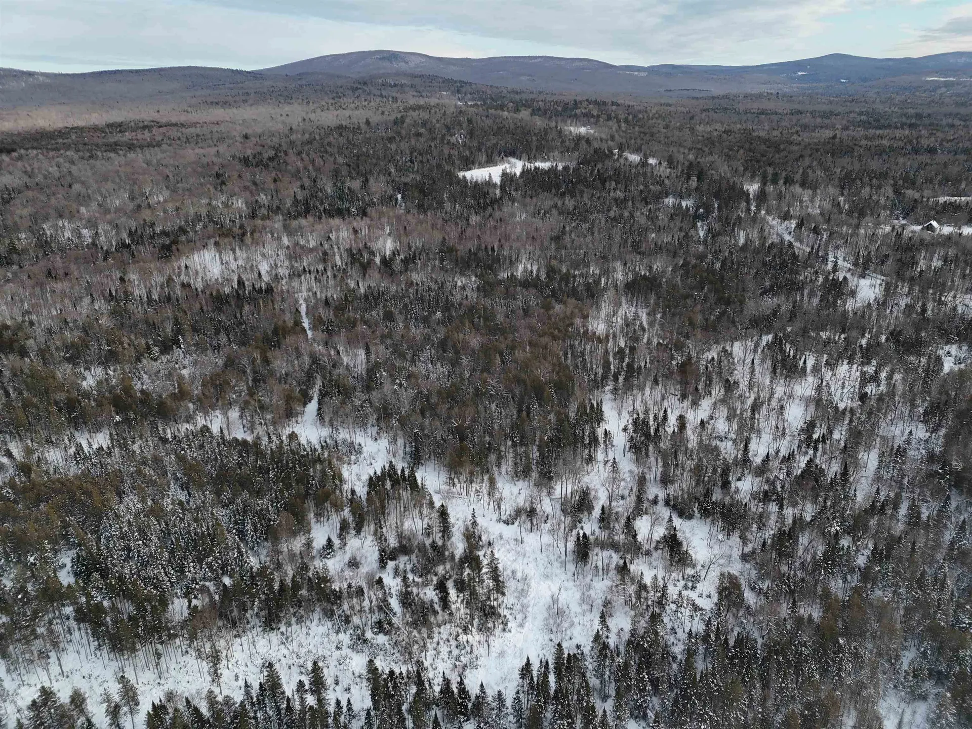 Spar Hawk Road Wheelock VT 05851