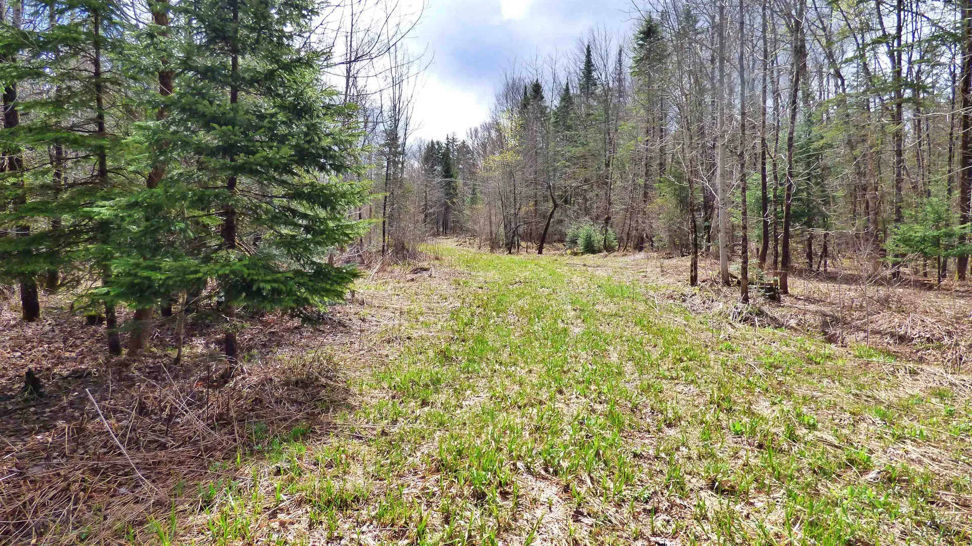 Spar Hawk Road Wheelock VT 05851