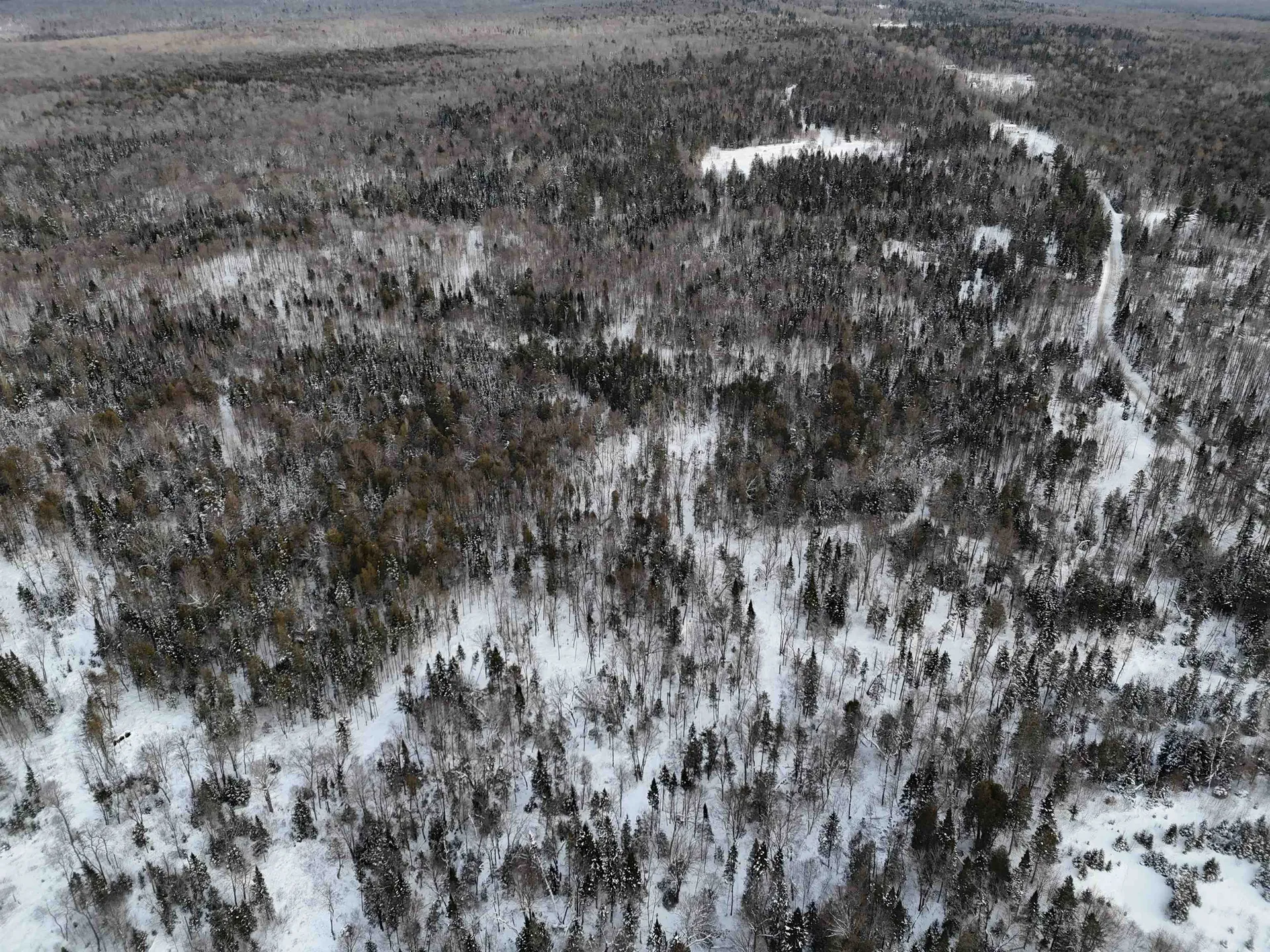 Spar Hawk Road Wheelock VT 05851