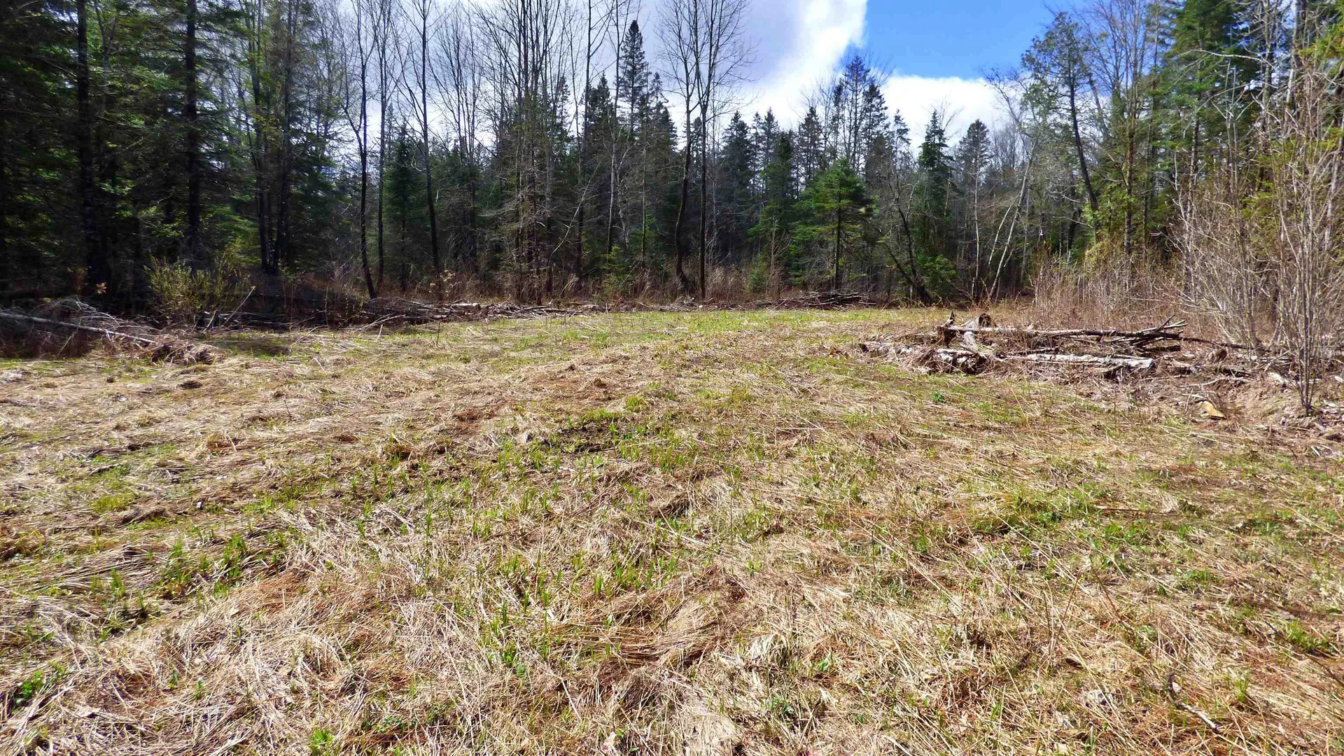 Spar Hawk Road Wheelock VT 05851