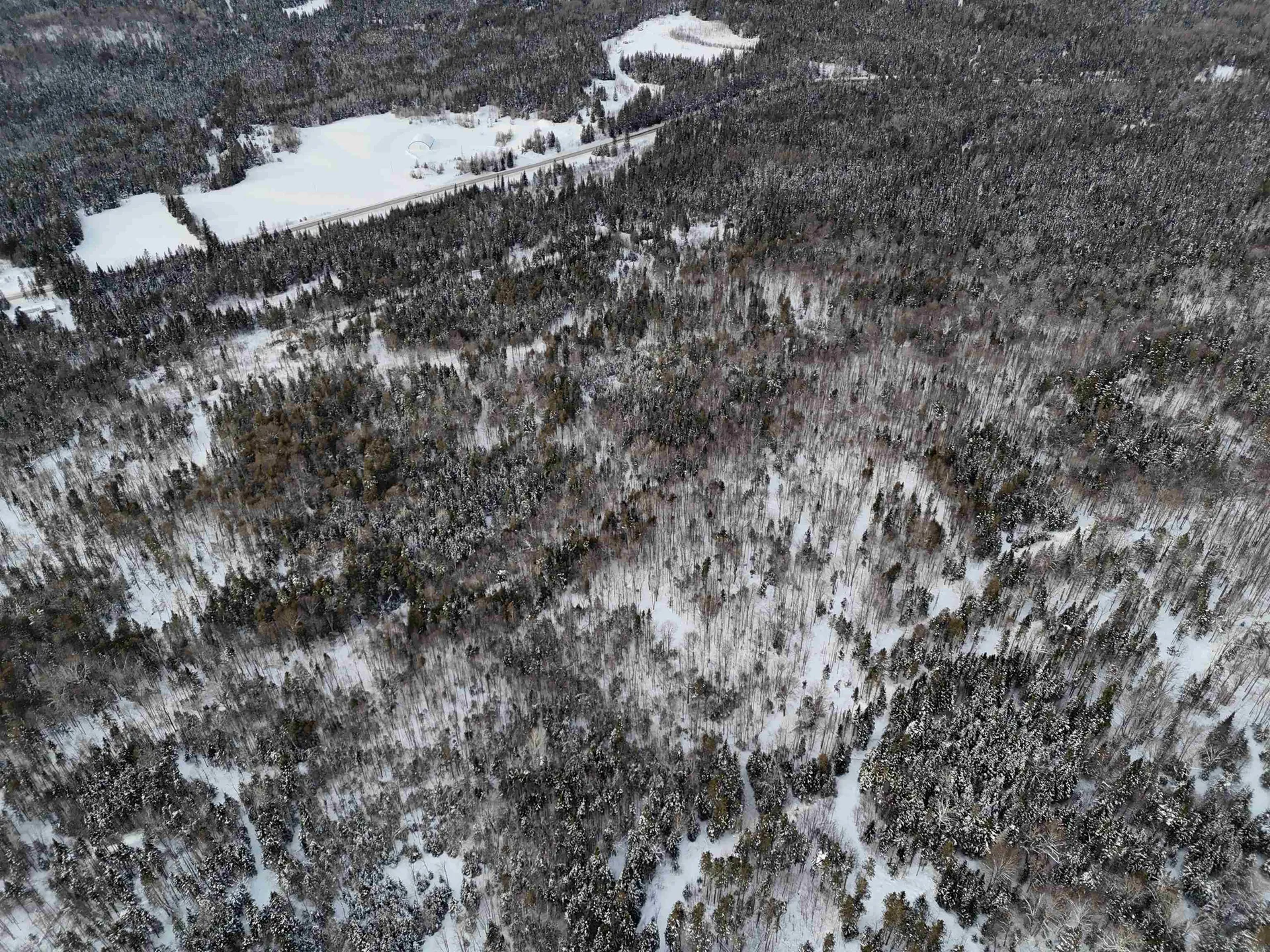 Spar Hawk Road Wheelock VT 05851