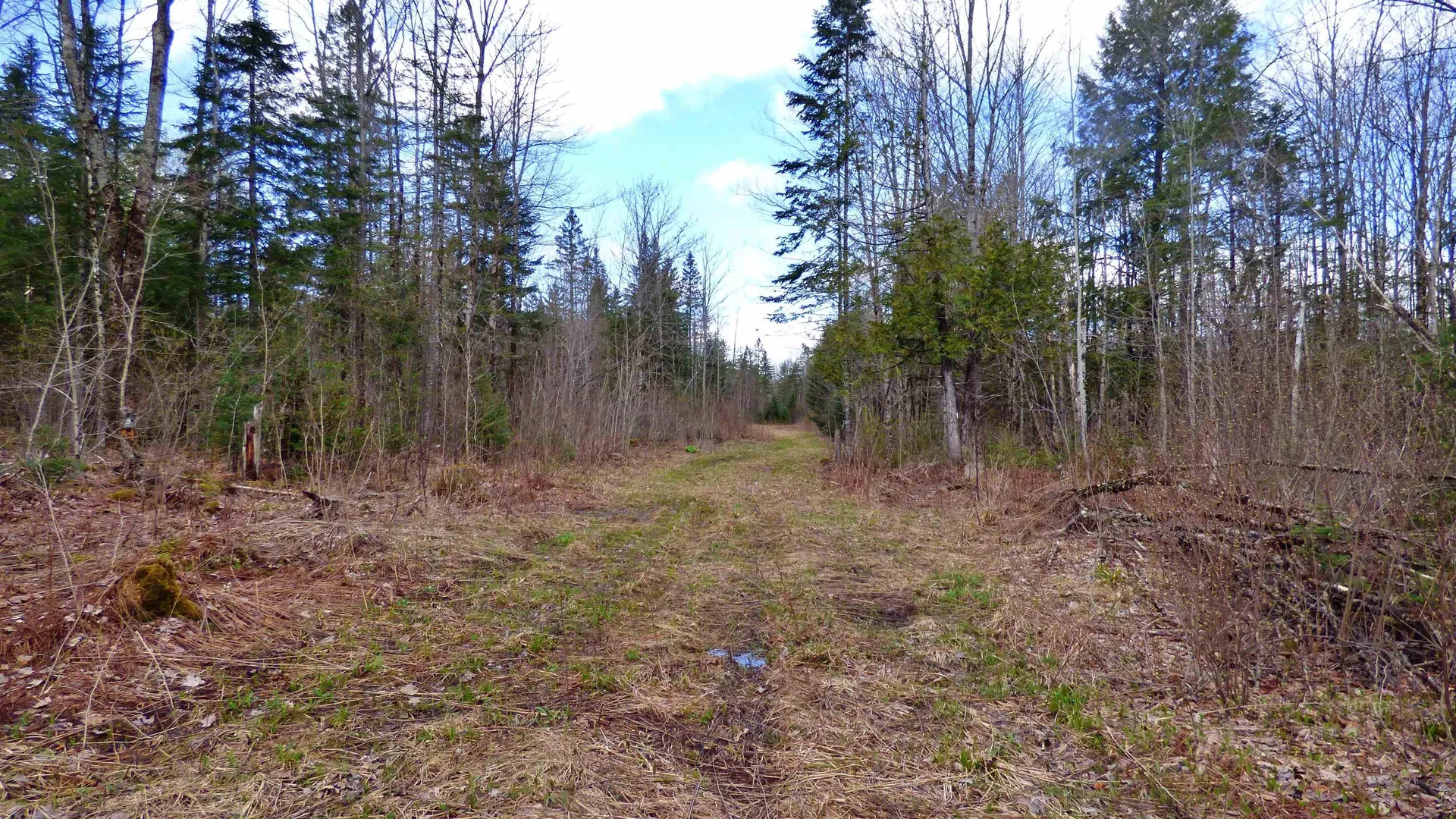 Spar Hawk Road Wheelock VT 05851