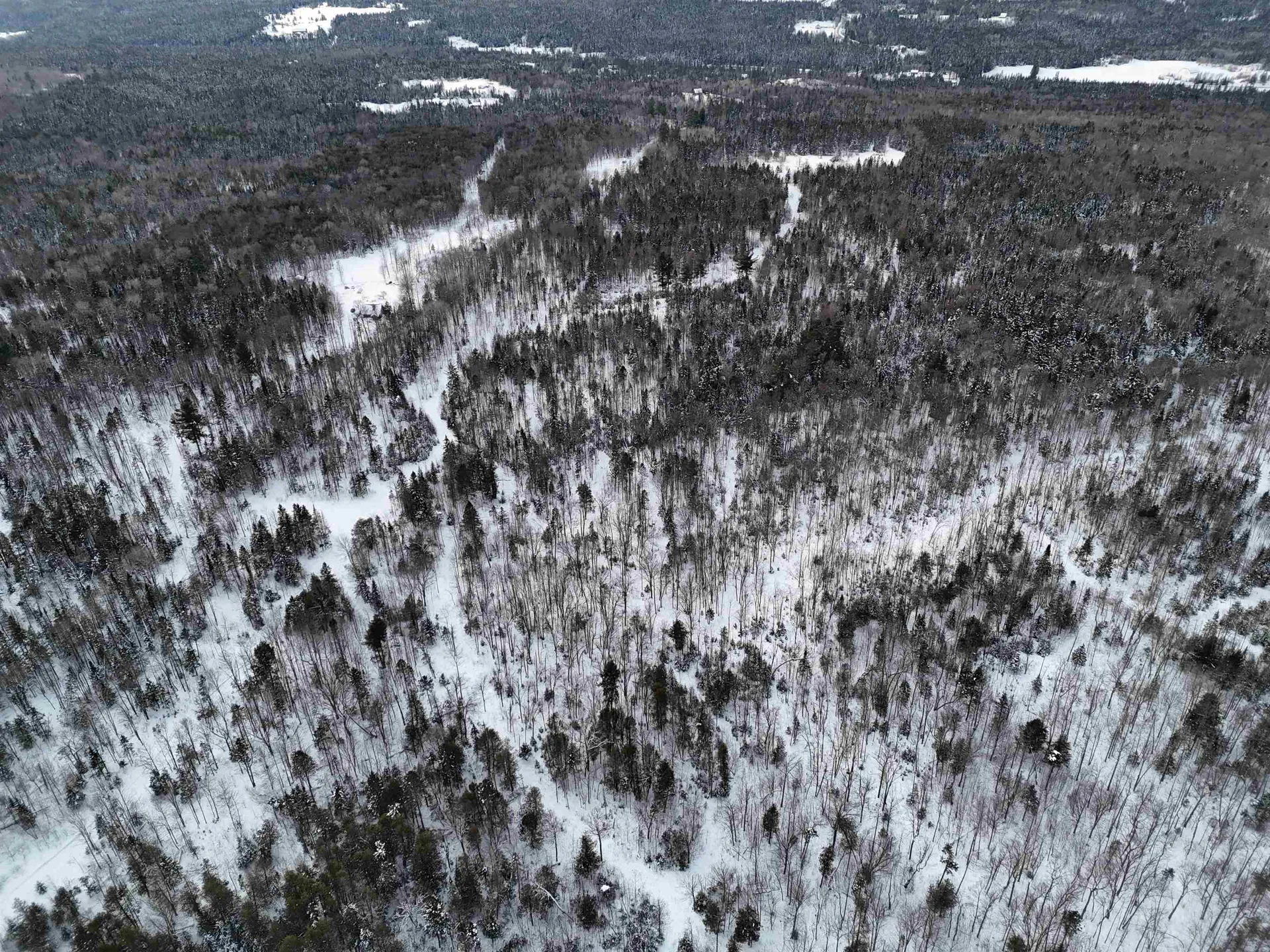 Spar Hawk Road Wheelock VT 05851