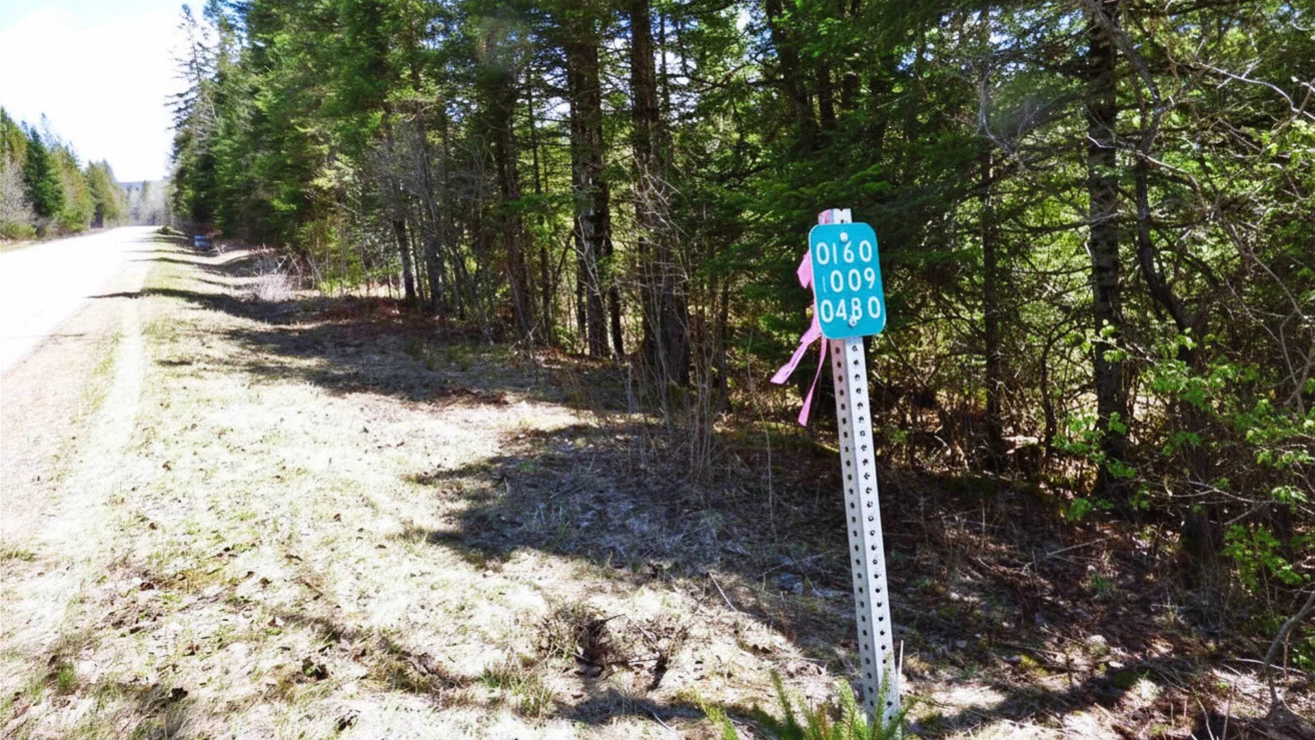 Spar Hawk Road Wheelock VT 05851