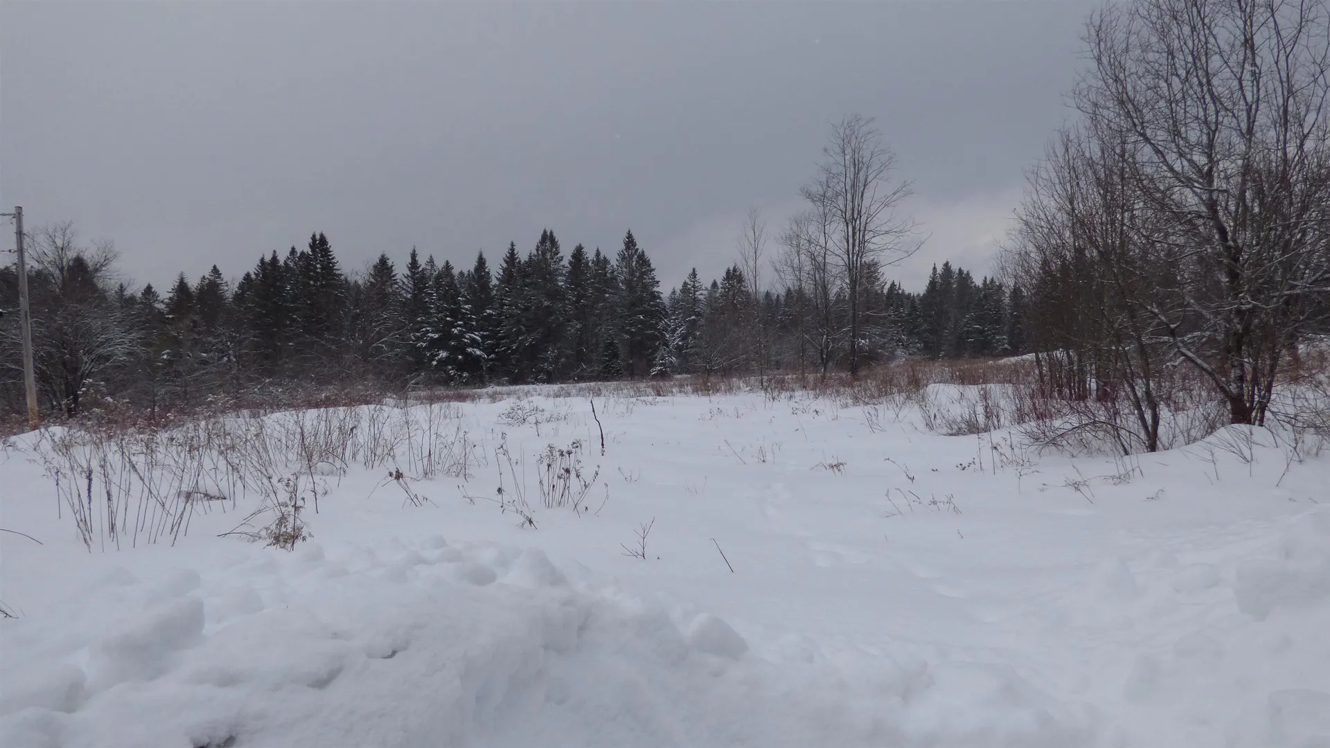 Spar Hawk Road Wheelock VT 05851