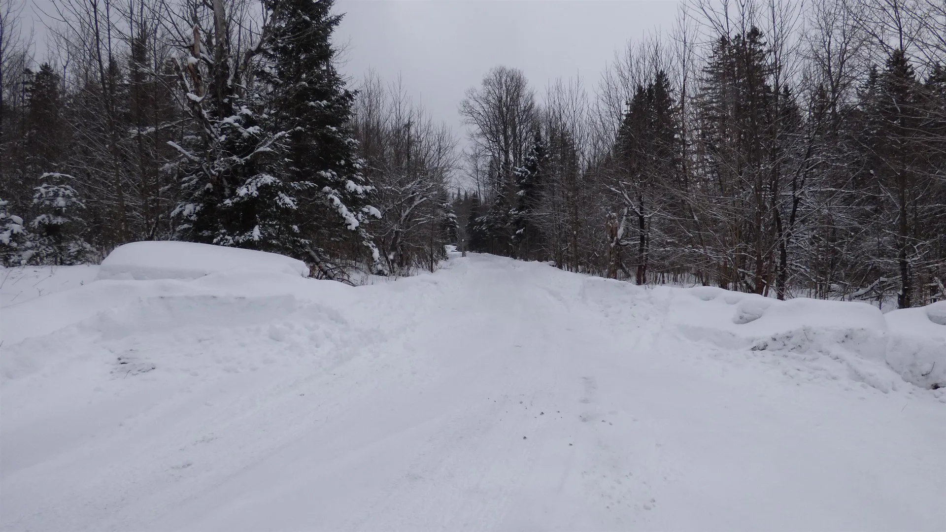 Spar Hawk Road Wheelock VT 05851