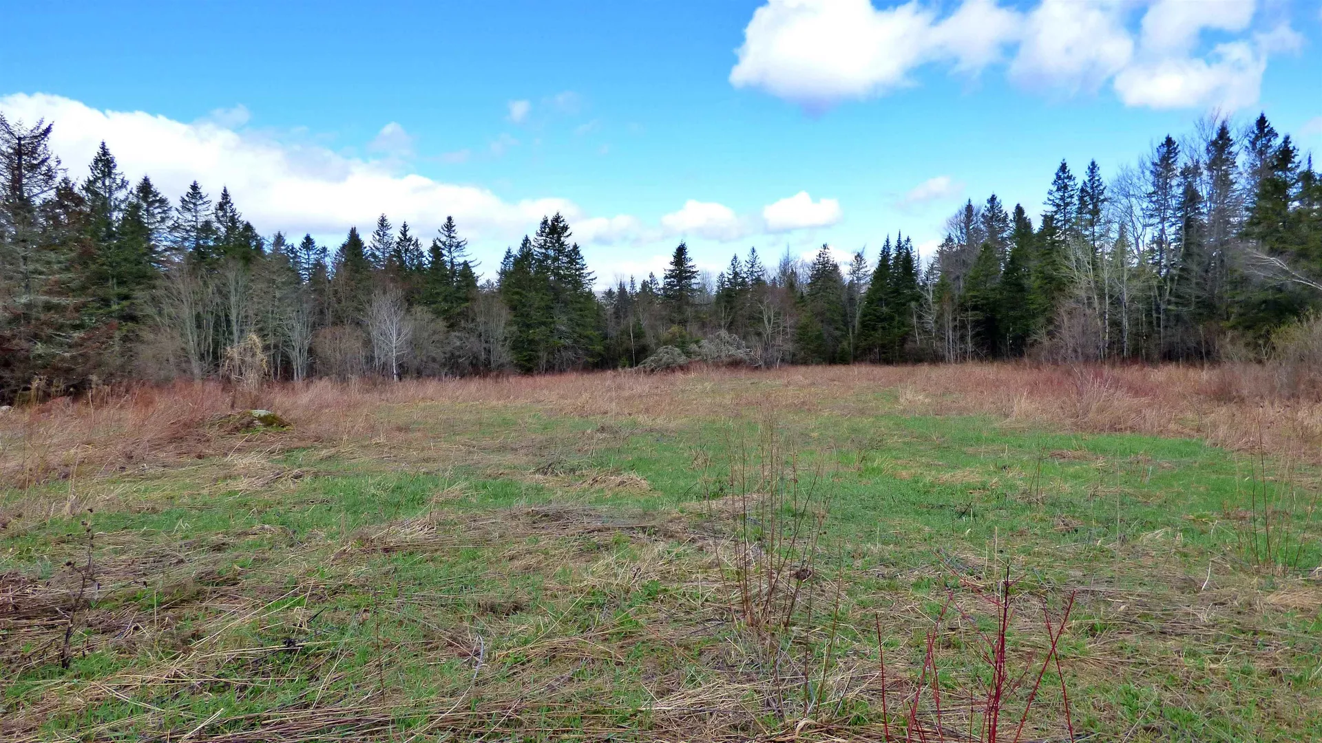 Spar Hawk Road Wheelock VT 05851