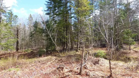 Spar Hawk Road Wheelock VT 05851