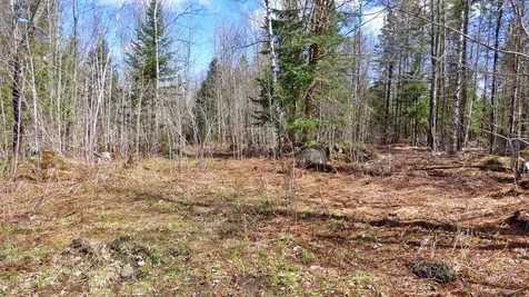 Spar Hawk Road Wheelock VT 05851