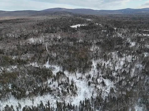 Spar Hawk Road Wheelock VT 05851