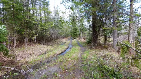 Spar Hawk Road Wheelock VT 05851