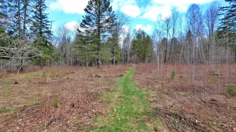 Spar Hawk Road Wheelock VT 05851