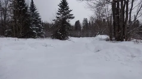 Spar Hawk Road Wheelock VT 05851