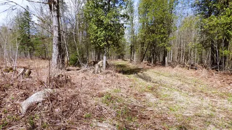 Spar Hawk Road Wheelock VT 05851