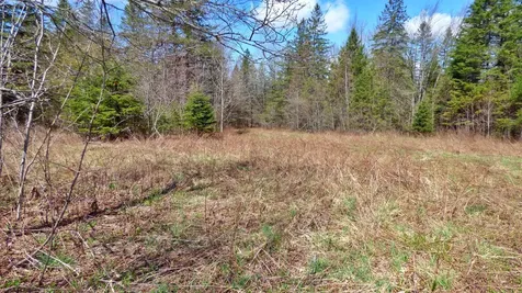 Spar Hawk Road Wheelock VT 05851