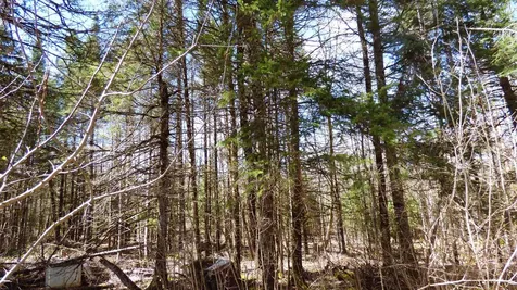 Spar Hawk Road Wheelock VT 05851