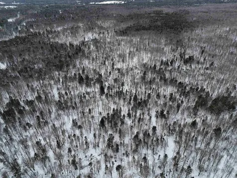 Spar Hawk Road Wheelock VT 05851