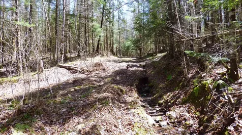 Spar Hawk Road Wheelock VT 05851