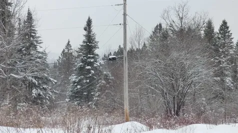 Spar Hawk Road Wheelock VT 05851