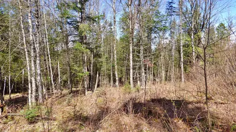 Spar Hawk Road Wheelock VT 05851