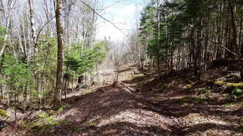Spar Hawk Road Wheelock VT 05851