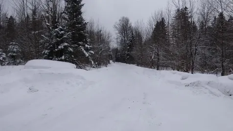 Spar Hawk Road Wheelock VT 05851