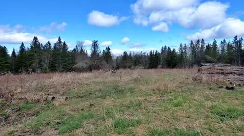 Spar Hawk Road Wheelock VT 05851