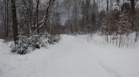 Spar Hawk Road Wheelock VT 05851