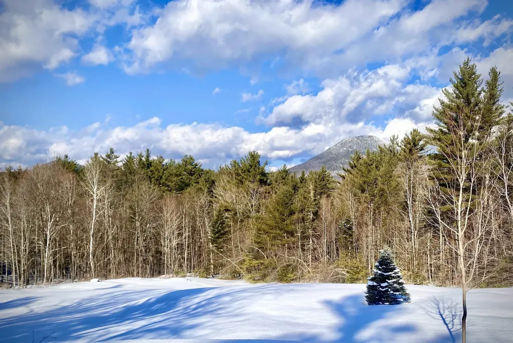 83 Towle Road Jackson NH 03846