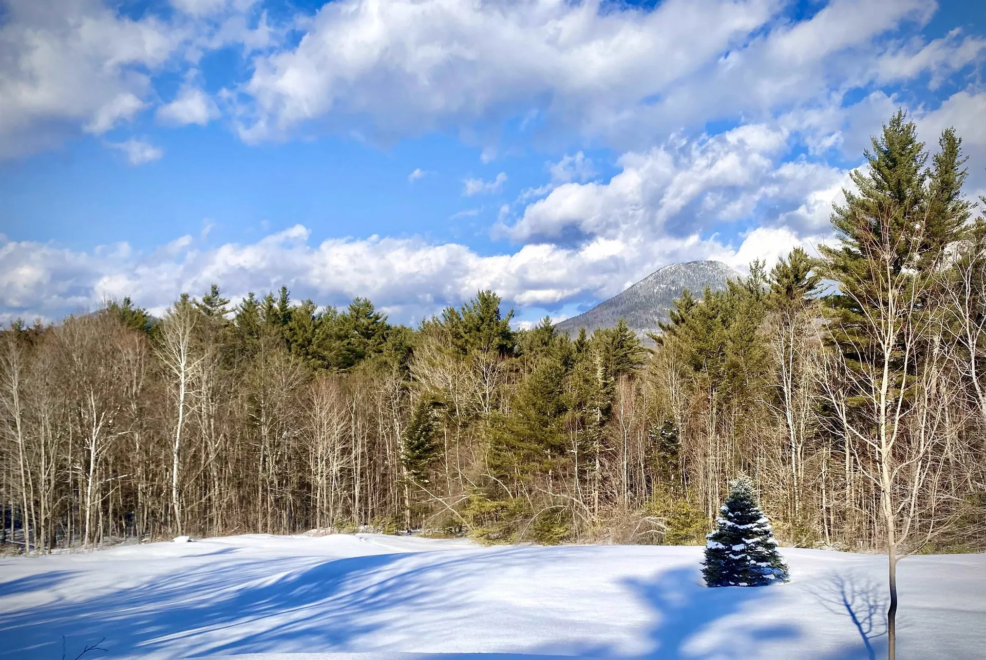 83 Towle Road Jackson NH 03846
