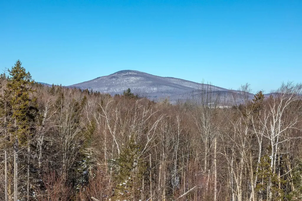 2734 Healdville Road Mount Holly VT 05730