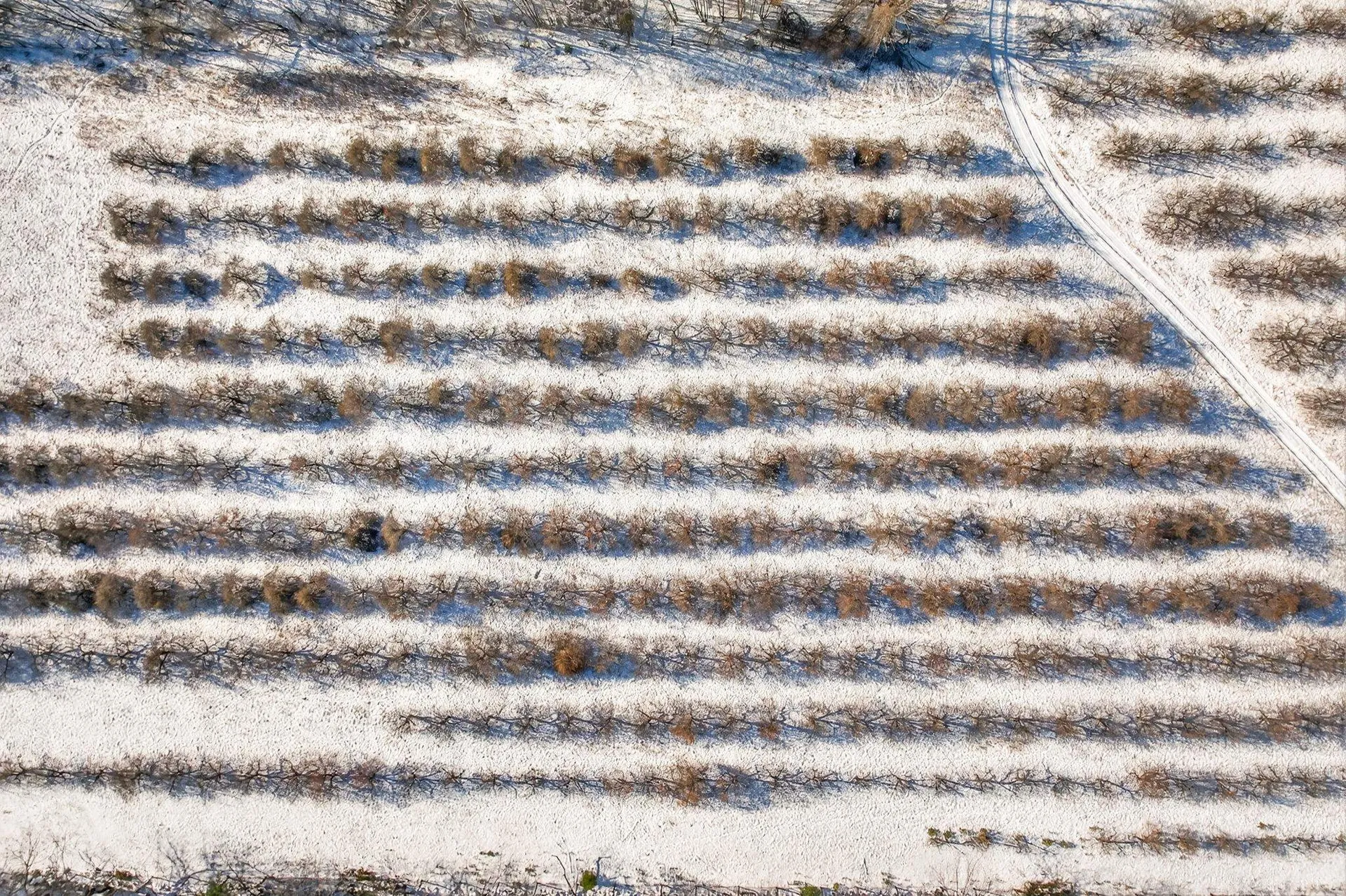 Map 11 Lot 729 Craney Hill Road Henniker NH 03242