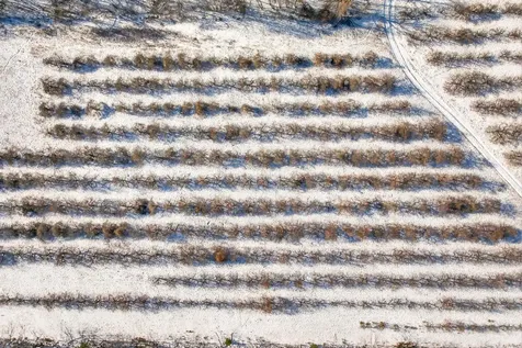 Map 11 Lot 729 Craney Hill Road Henniker NH 03242