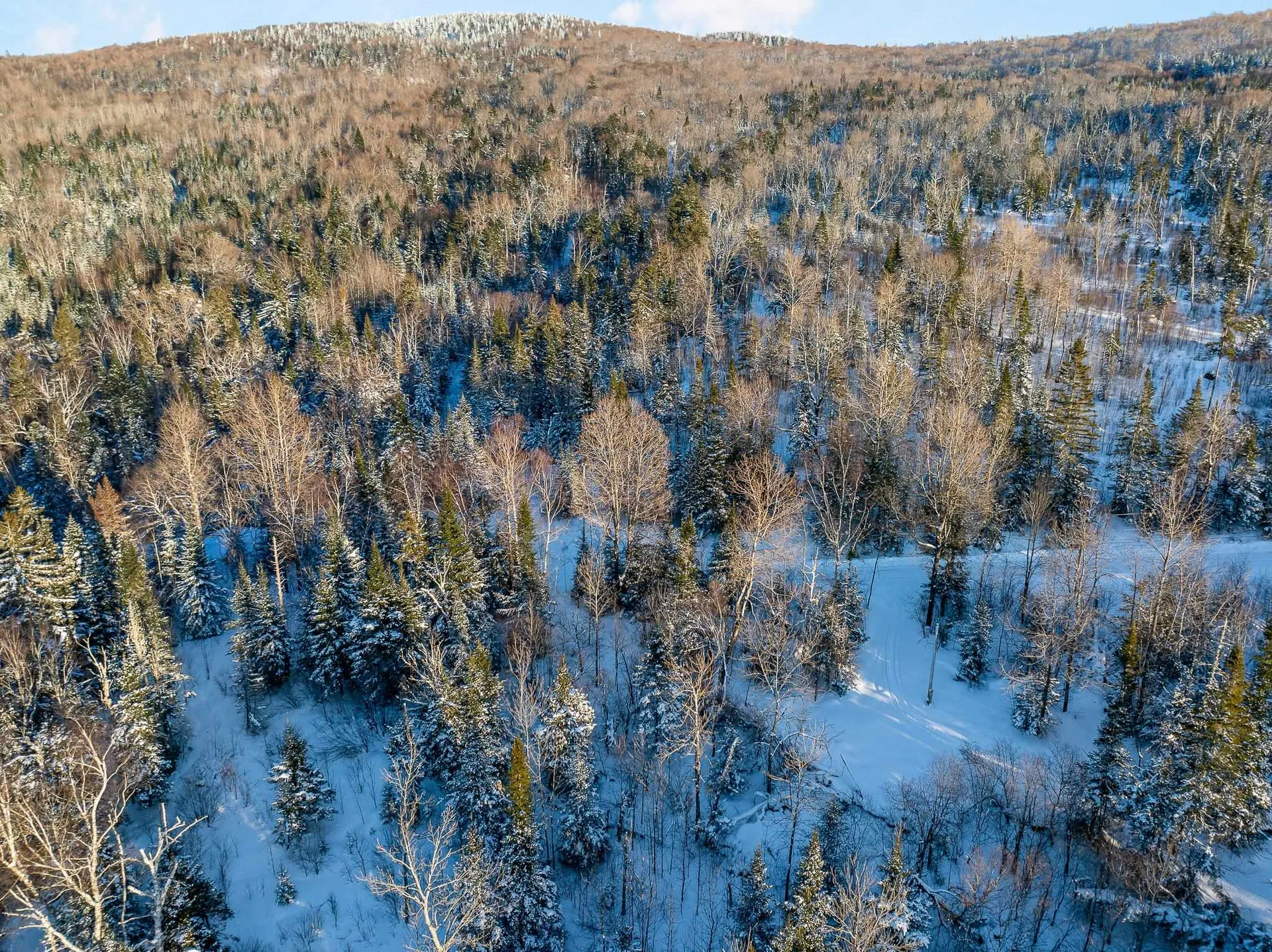 Sugar Hill Road Stewartstown NH 03597