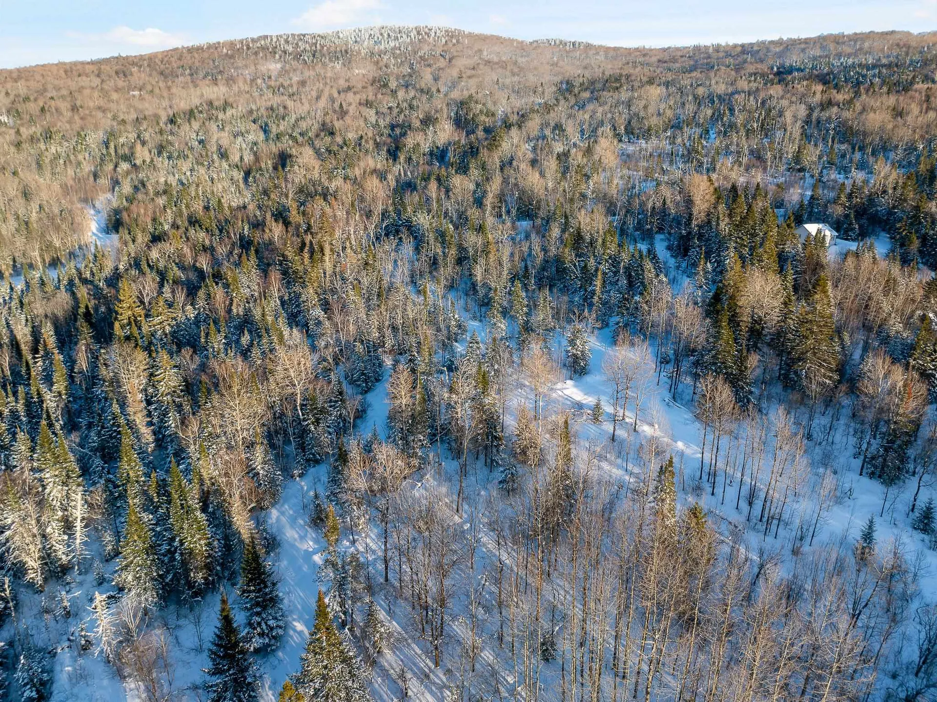 Sugar Hill Road Stewartstown NH 03597