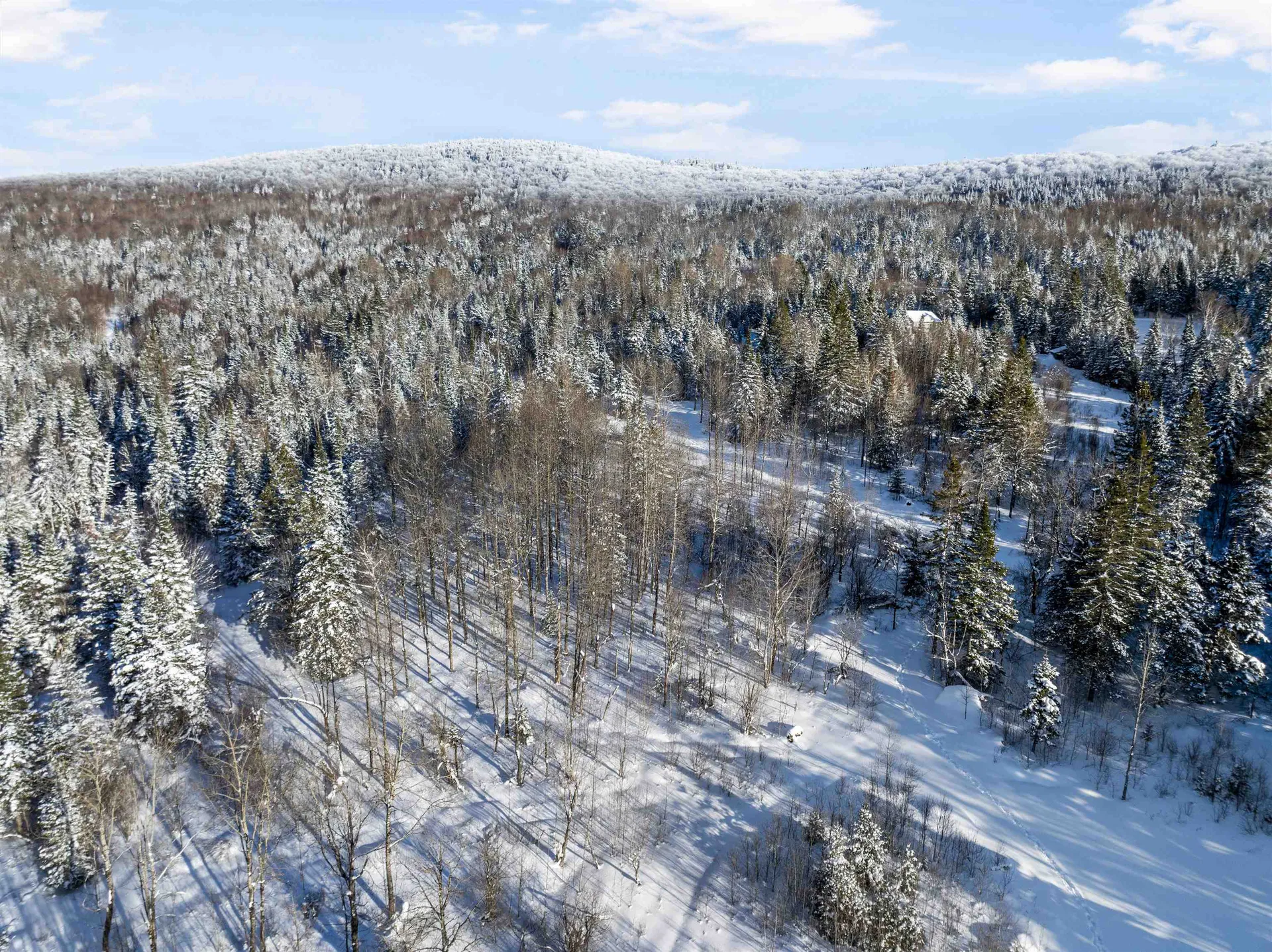 Sugar Hill Road Stewartstown NH 03597