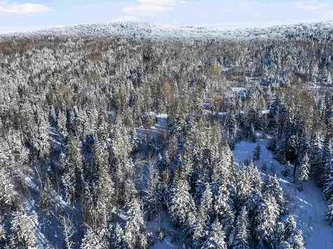 Sugar Hill Road Stewartstown NH 03597