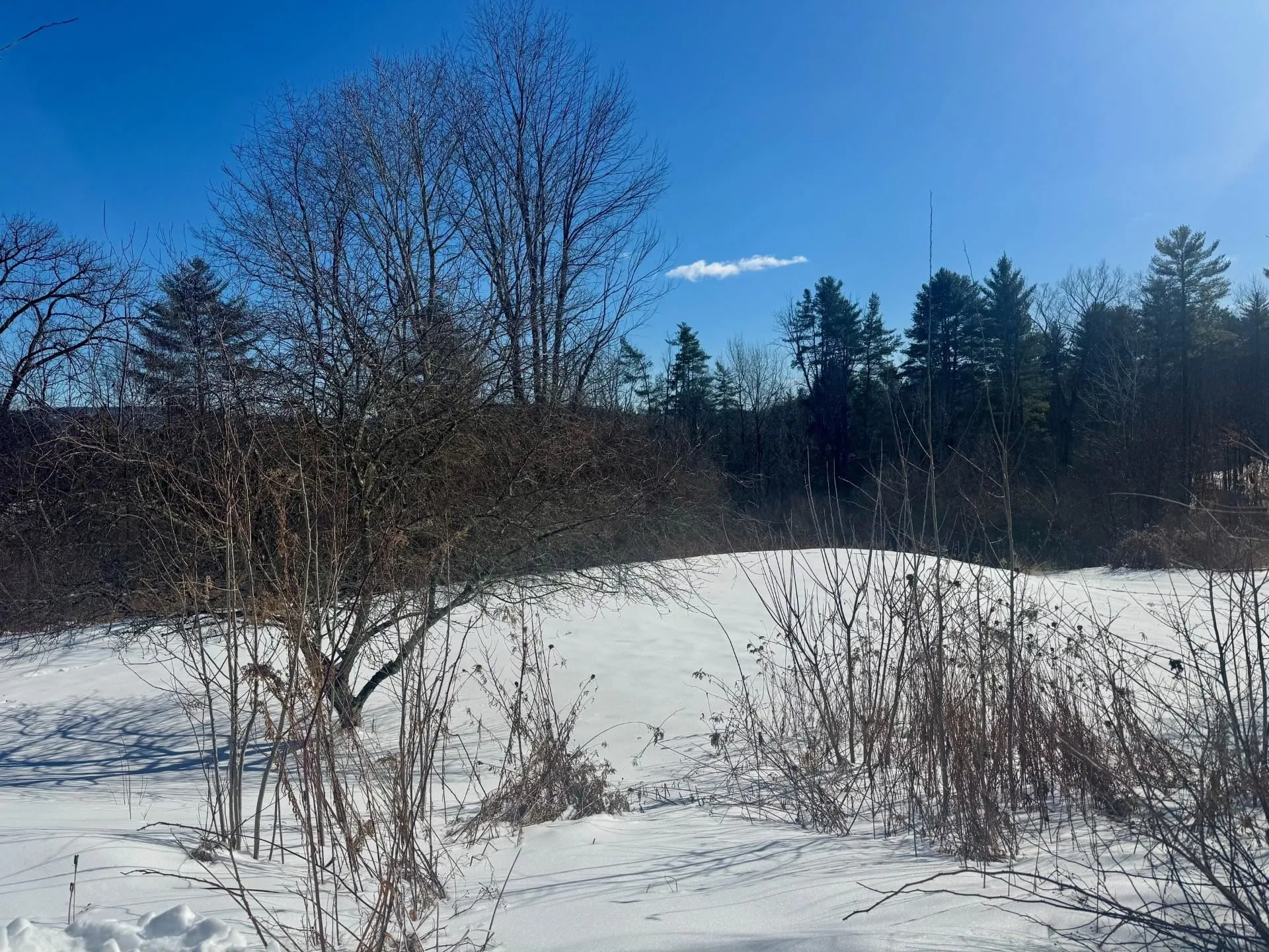 21 Bump Road Westmoreland NH 03467