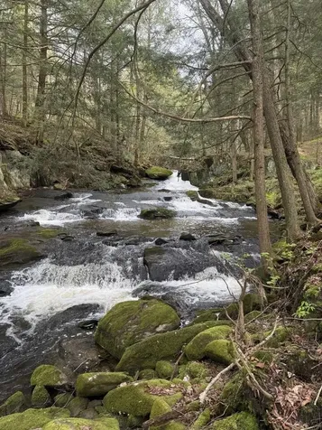 9768 Vt Route 36 Fairfield VT 05455